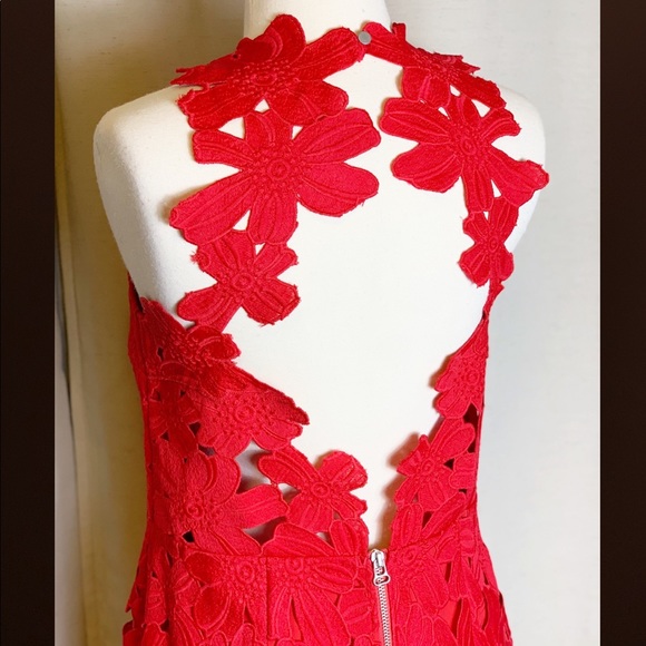 Saylor for Free People Jessa Red Lace Dress - Picture 5 of 12